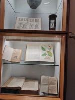 IMG_20200121_115608