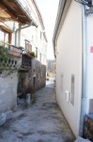 DSC06420