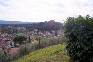 DSC06464