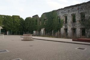 DSC06498