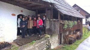 Bohinj_WP_20191113_12_51_54_Pro