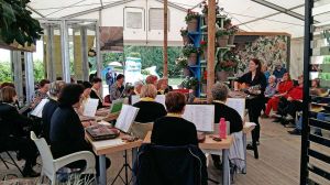 citrarke_in_kitaristke_drustva_lipa_v_arboretumu-2