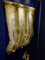 2025 09 25 Trzic 14